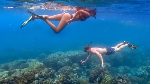 從普吉島或考拉出發:斯米蘭群島與莫肯村日遊含浮潛