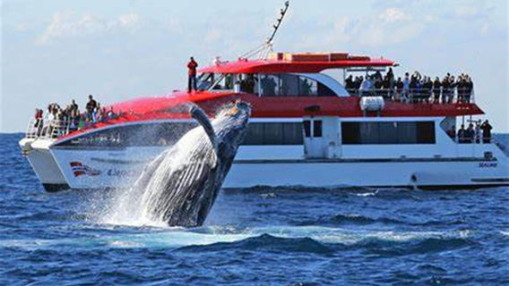 SydneyTours