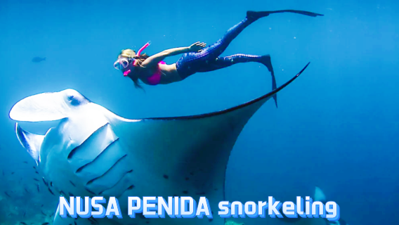 Bali Nusa Penida 4-Spot-Schnorcheln mit kostenlosem Video-Trip