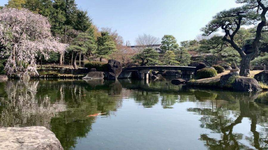 姬路城+好古園+有馬溫泉鄉+六甲山一日遊