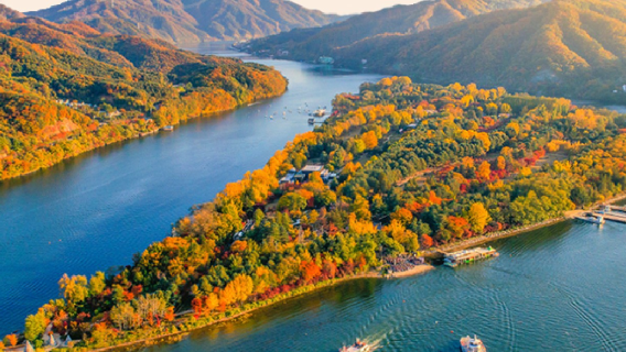 Tiket bus antar-jemput pulang pulang pergi antara Seoul dan Pulau Nami