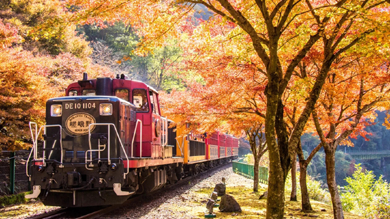 京都・嵐山嵯峨野トロッコ列車観光乗車チケット