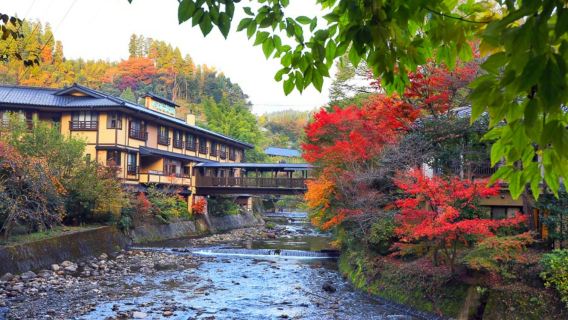 Kumamoto Day Tour|2nd Person Free for 2 Travelers] Mount Aso + Kusasenri + Kurokawa Onsen