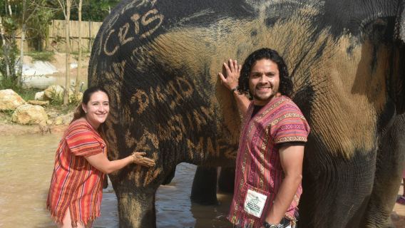 Phuket Naidi Elephant Conservation Camp|Chinese and English coaches|Island-wide pick-up and drop-off|Afternoon Edition