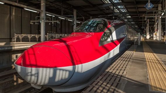 TokyoTransport