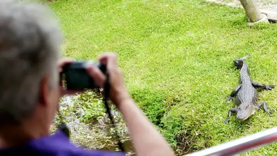 Guided Swamp and Bayou Boat Tour