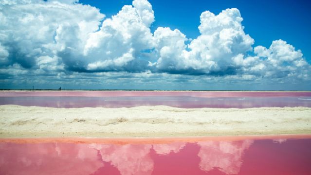 Río Lagartos & Las Coloradas: Guided Tour, Lunch with Drinks + Transfer