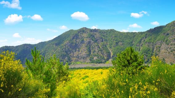 Vesuvius & Pompeii: Skip The Line Tickets + Roundtrip from Salerno