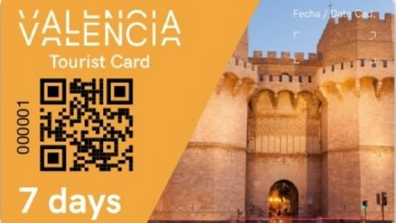 ValenciaTravel Services