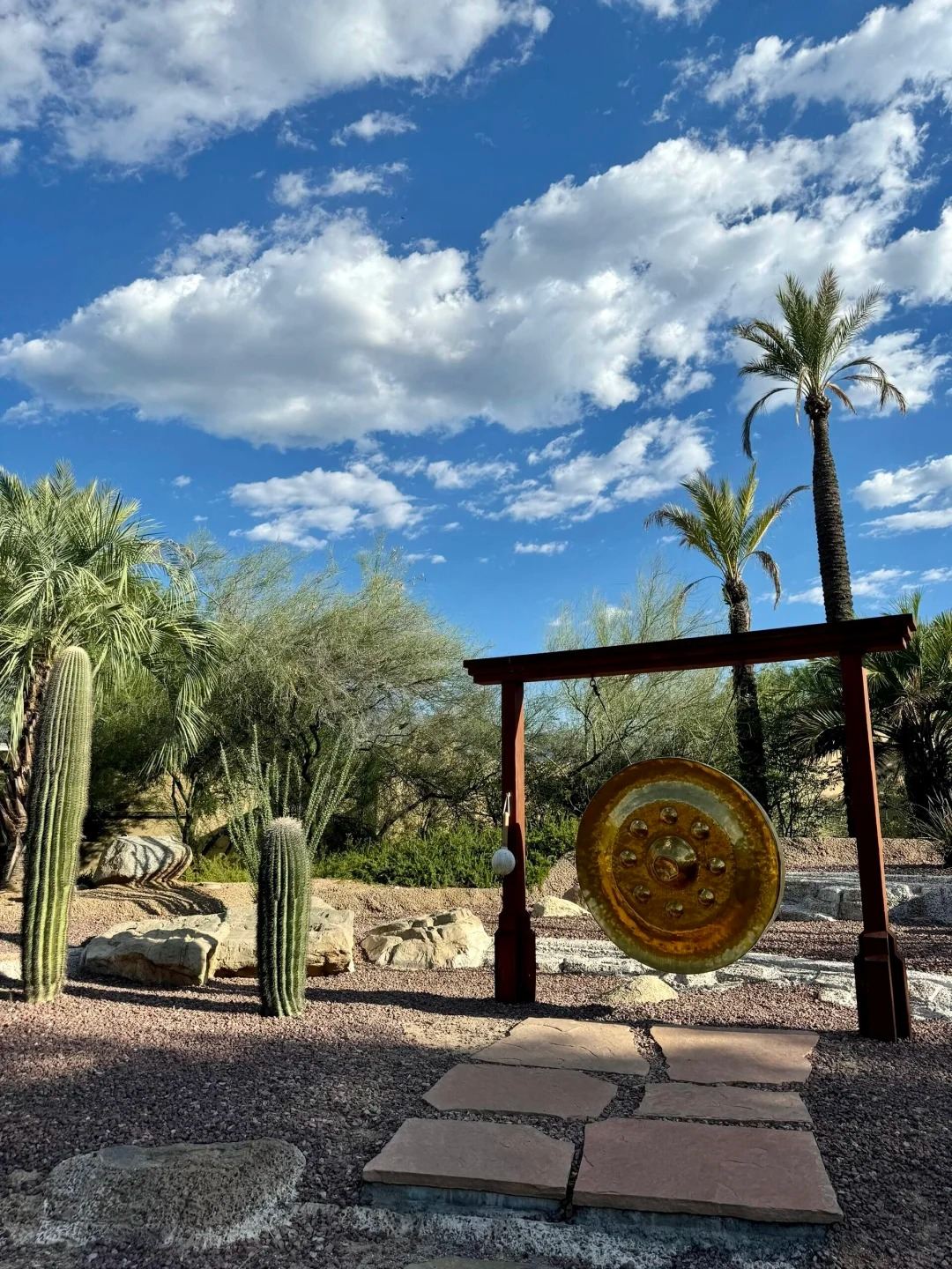 美國鳳凰城-鳳凰城動物園、植物園包車一日遊【精選老司機】