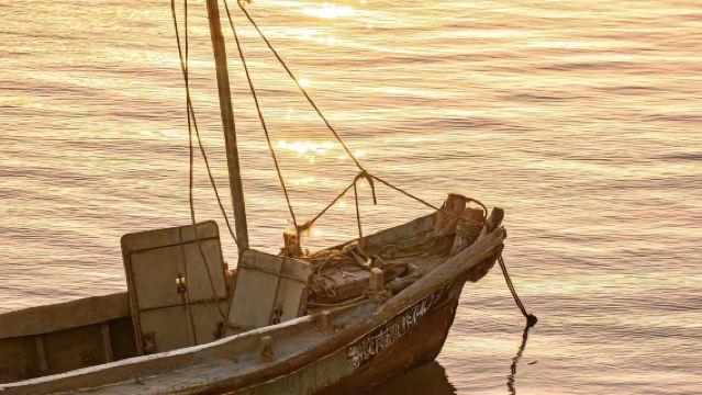 Qingdao Golden Beach + Yumingzui Village + Starlight Island + Tangdao Bay 1-day Tour with Chinese and English Services