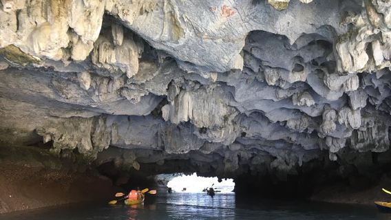 Lan Ha Bay Full-Day Cruise & Kayaking Experience from Cat Ba
