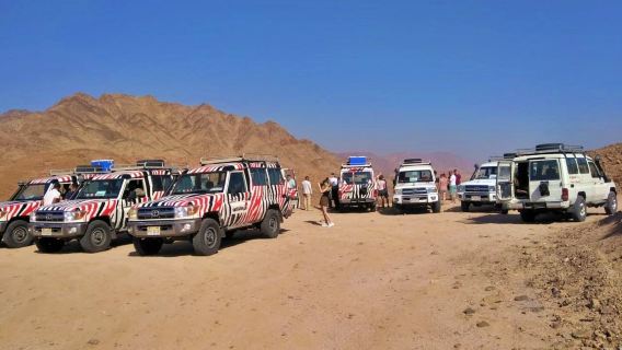 Safari mattutino in quad, sand buggy e jeep 4x4 con giro in cammello a Hurghada