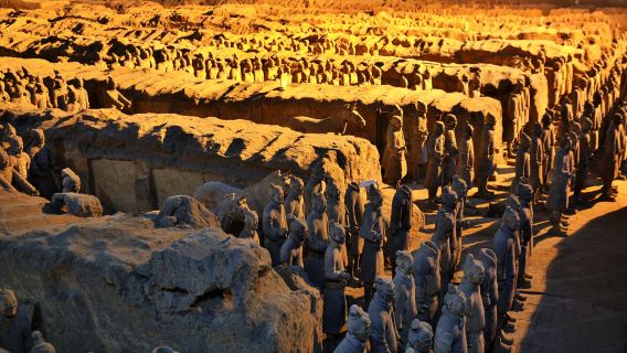 In-depth Terracotta Warriors tour + English guide + luxury car shared tour|Easy and worry-free day tour