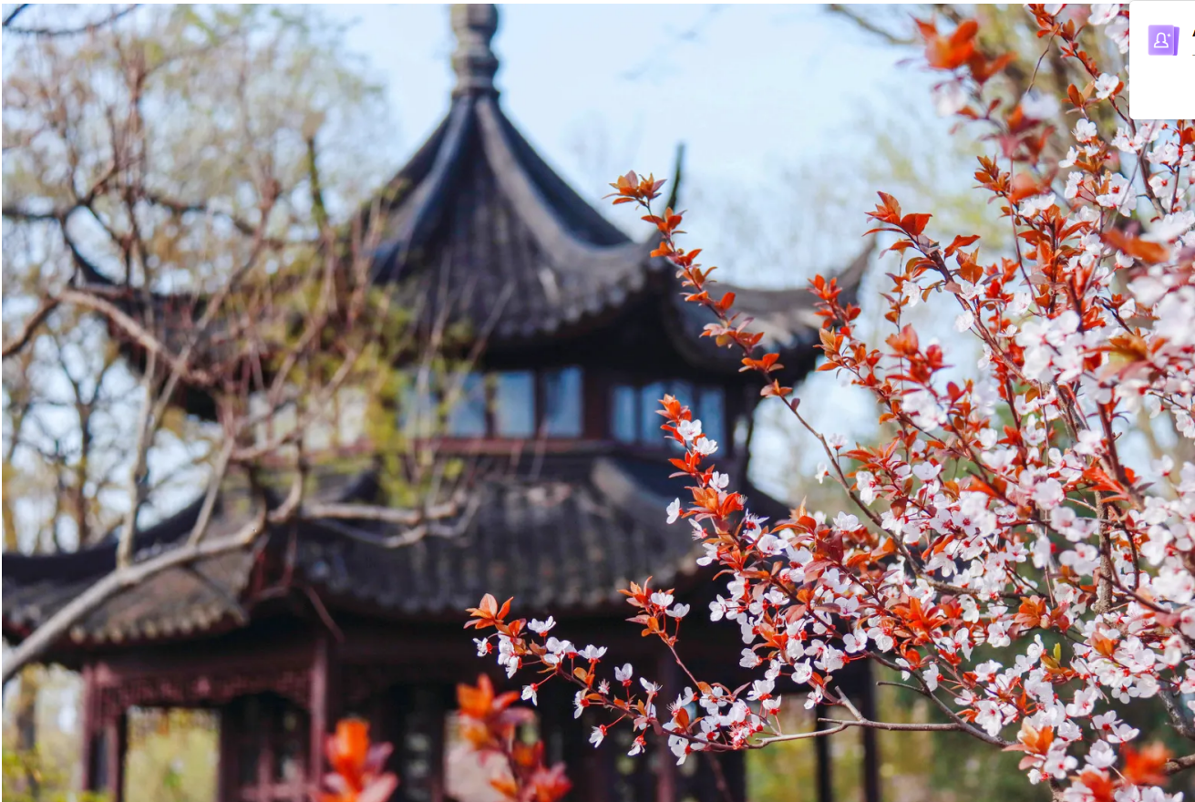 [Shanghai noleggio con conducente esclusivo personalizzato] Giardino dell'Umile Amministratore + Strada storica Pingjiang + Giardino Liu + Shantang di sette miglia