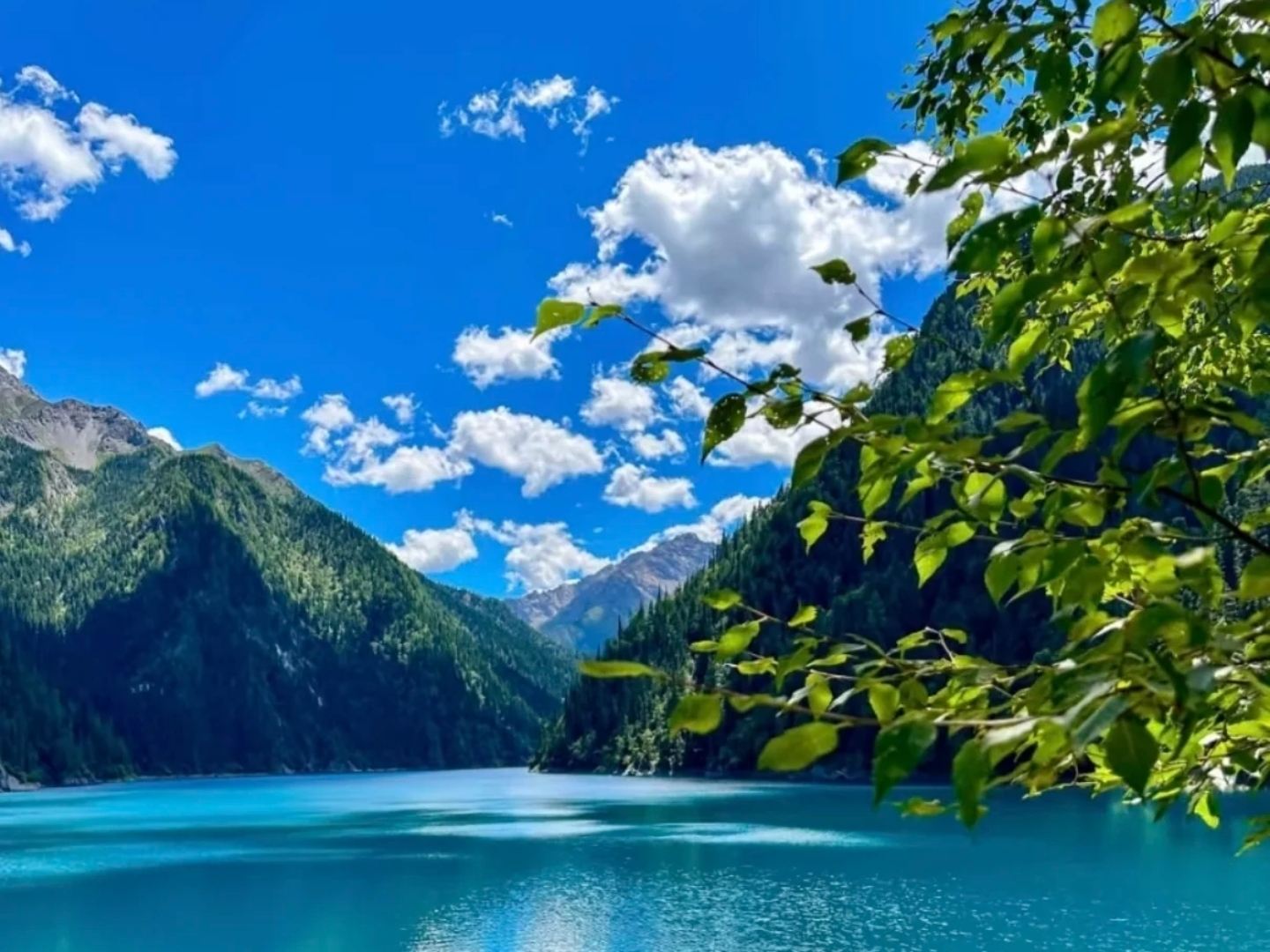 Jiuzhaigou Private Tour