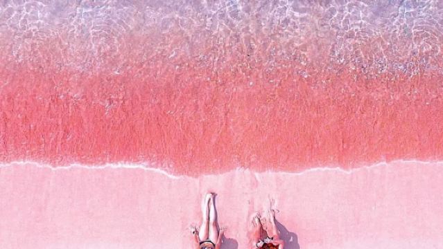 Cancun Playa Las Coloradas + Flamingo Nature Reserve Private Charter 1-day Tour|Adjustable itinerary