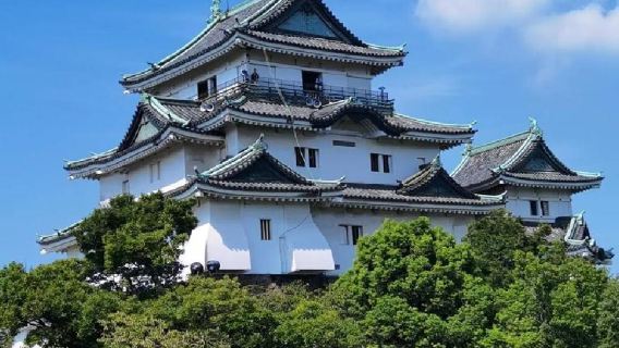 日本大阪+和歌山+三段壁+白良濱一日遊/行程可調-可客製多日