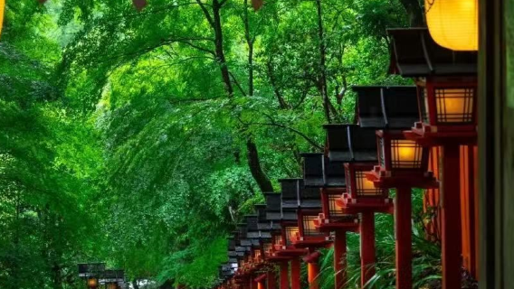 京都日遊