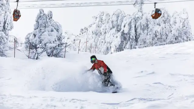 일본 홋카이도 삿포로 국제 스키 리조트 당일 치기 여행 초중급 슬로프, 코치 패키지 선택 가능