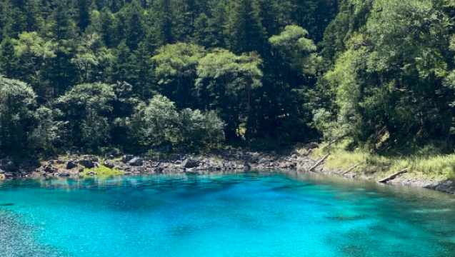 九寨溝一日遊【包車遊+含門票+高鐵站來回+景區直達】