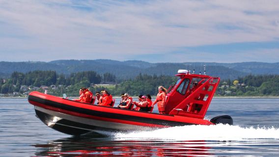 Vancouver, BC: tour di osservazione delle balene con piccolo gommone Zodiac e guida