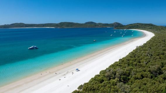 Airlie Beach: visita Hill Inlet Lookout e Whitehaven Beach