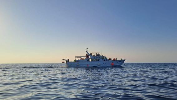 D'Umag : pique-nique de poisson à Poreč avec déjeuner et baignade