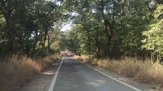 Private Mumbai Tour: Kanheri Caves & Golden Pagoda Temple