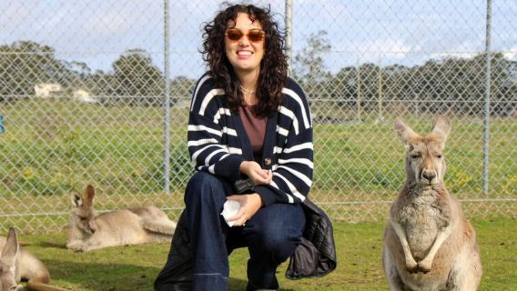 Newcastle: Animal Lovers Tour - Kangaroos, Dolphins & more!