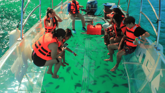 Los Cabos: Lernen Sie den Bogen auf der legendären transparenten Bootstour kennen