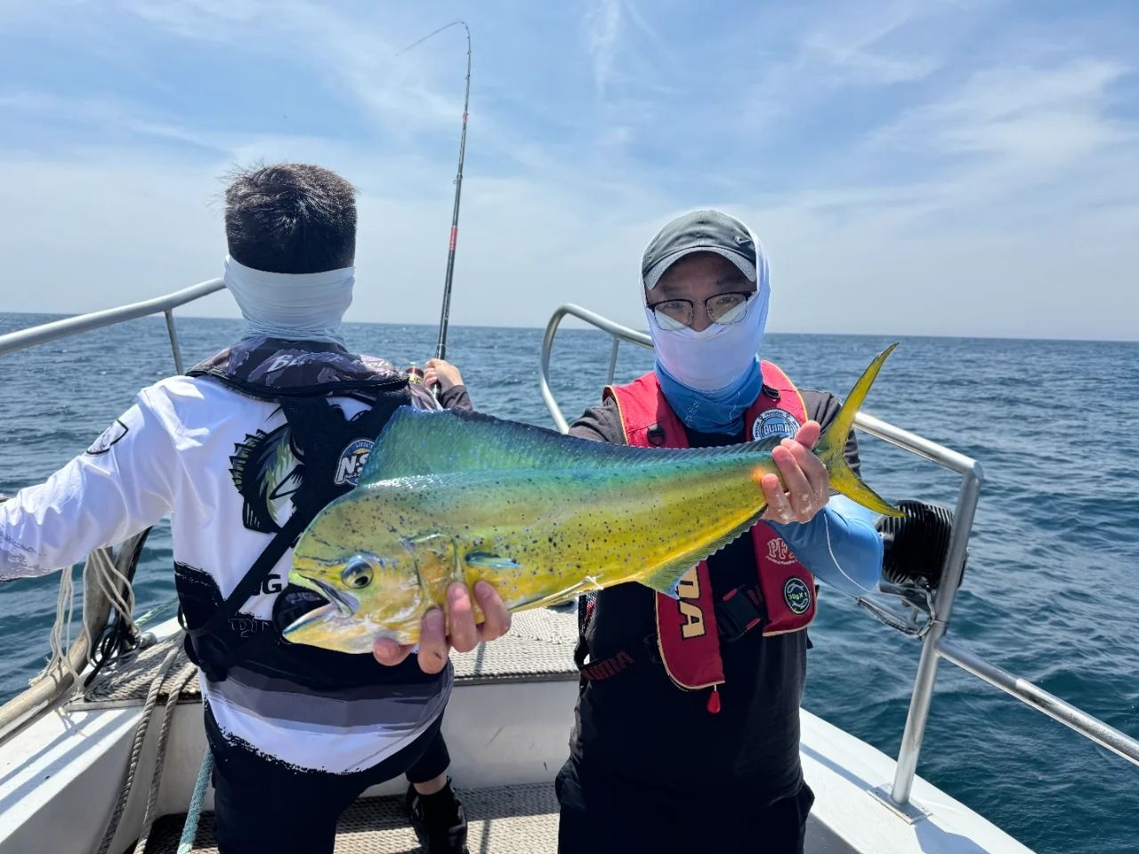 제주도 바다낚시 체험 - 서귀포 남진호 선상 낚시 / 성산항 바다낚시 체험 / 제주도 야간 낚시(갈치·오징어) 체험 시내 픽업/샌딩 포함