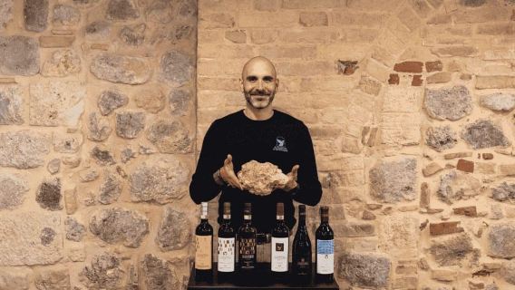 San Gimignano: Trải nghiệm nếm rượu vang tại Il Colombaio