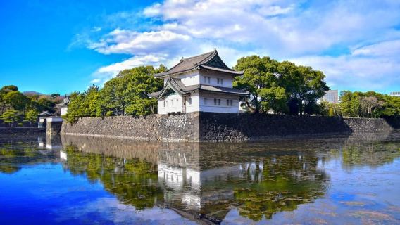 Tokyo: Private City Highlights Tour with Local Guide