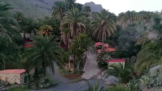 Gran Canaria: Camel Ride at Camel Safari Park