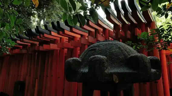 Kyoto: Early Morning Tour with English-Speaking Guide