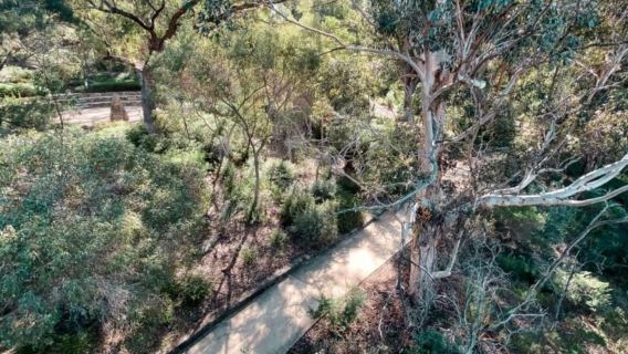 Perth: Kings Park Botanicals & Beyond Guided Hike