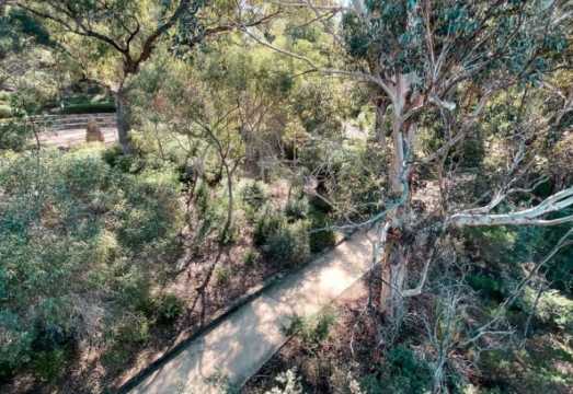 Perth: Kings Park Botanicals & Beyond Guided Hike AUD 58.96