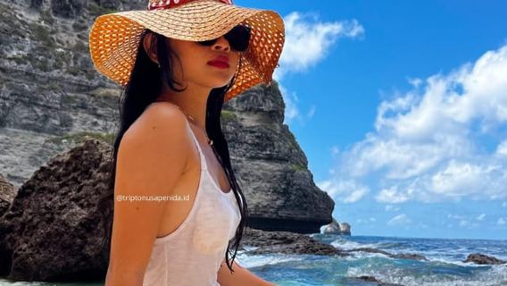 Nusa Penida: Private Car and Driver with Mix Trip