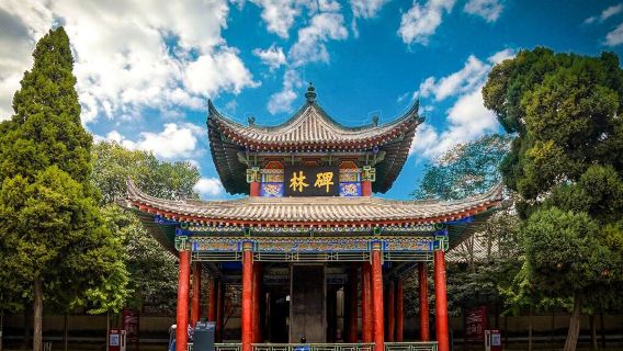 Bảo tàng Bia Lâm Tây An + Trải nghiệm làm tranh dập di sản phi vật thể + Tường thành + Biểu diễn Nữ hoàng Đại Đường tour 1 ngày