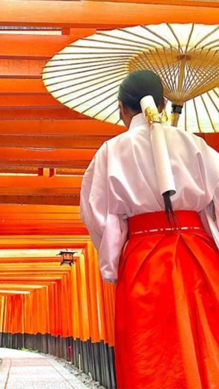 【紅葉シーズン】日本京都＋奈良ワンデーツアー【9人少人数団体・ホテル送迎可能】