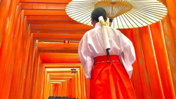 [오사카 출발] 일본 교토 & 나라 당일치기 투어, 사랑스러운 야생 사슴 만나기, 하루에 후시미이나리 신사와 기요미즈데라 지역 관광, 최대 13인 소규모 그룹, 한국어 가능 운전 기사
