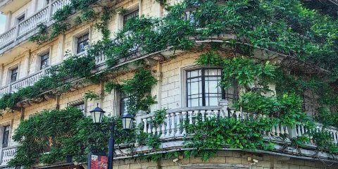 浙江寧波天一閣博物院+月湖+城隍廟+天主教堂包車一日遊中英文服務