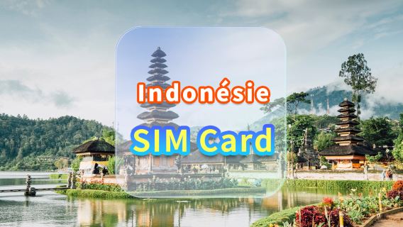 [Indonésie] Carte SIM 4G | CMI | Carte SIM haut débit | Jours de disponibilité | Prêt à l'emploi | Prise en charge à l'aéroport de Hong Kong