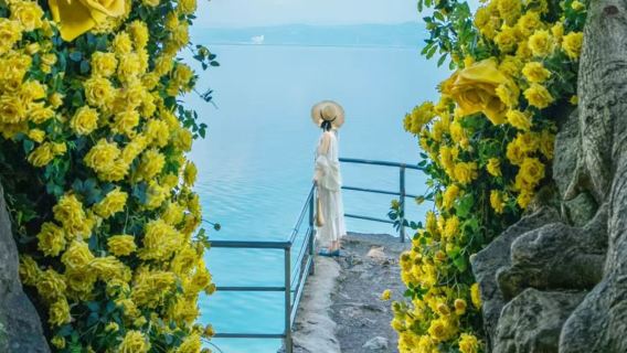 индивидуальный трансфер/аренда автомобиля с водителем тур по озеру Фусянь из Куньмина [живописные места Лучонг, Красный пляж и водно-болотный парк Лунной бухты]