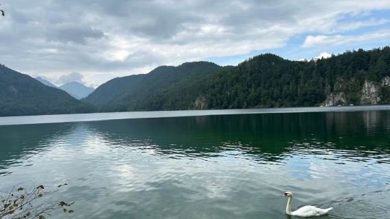 德國慕尼黑來回 新天鵝堡一日遊 中文司導 暢玩三地 精品小團