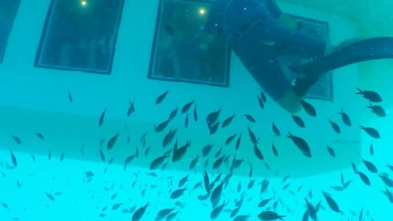 Poseidon Submarine Cruise