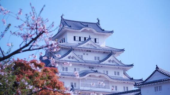 Descubre el Castillo de Himeji en un tour guiado a pie
