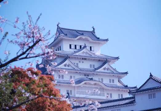Unusedrooms Travel Tours and Information