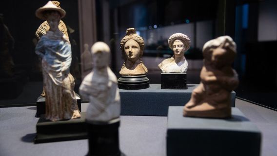 埃及開羅出發亞歷山大包車一日遊：國家博物館+圖書館+地下墓